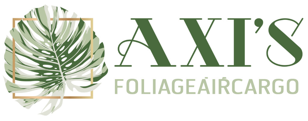 Axifoliageaircargo